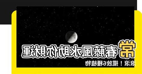 常春藤 風水